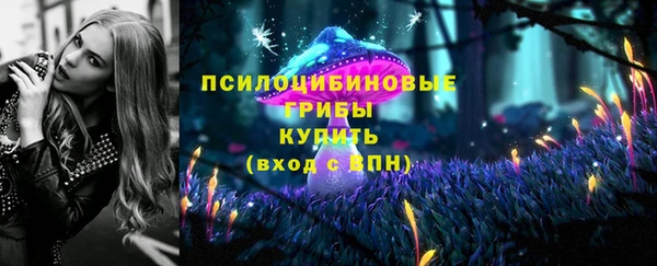 скорость Медвежьегорск
